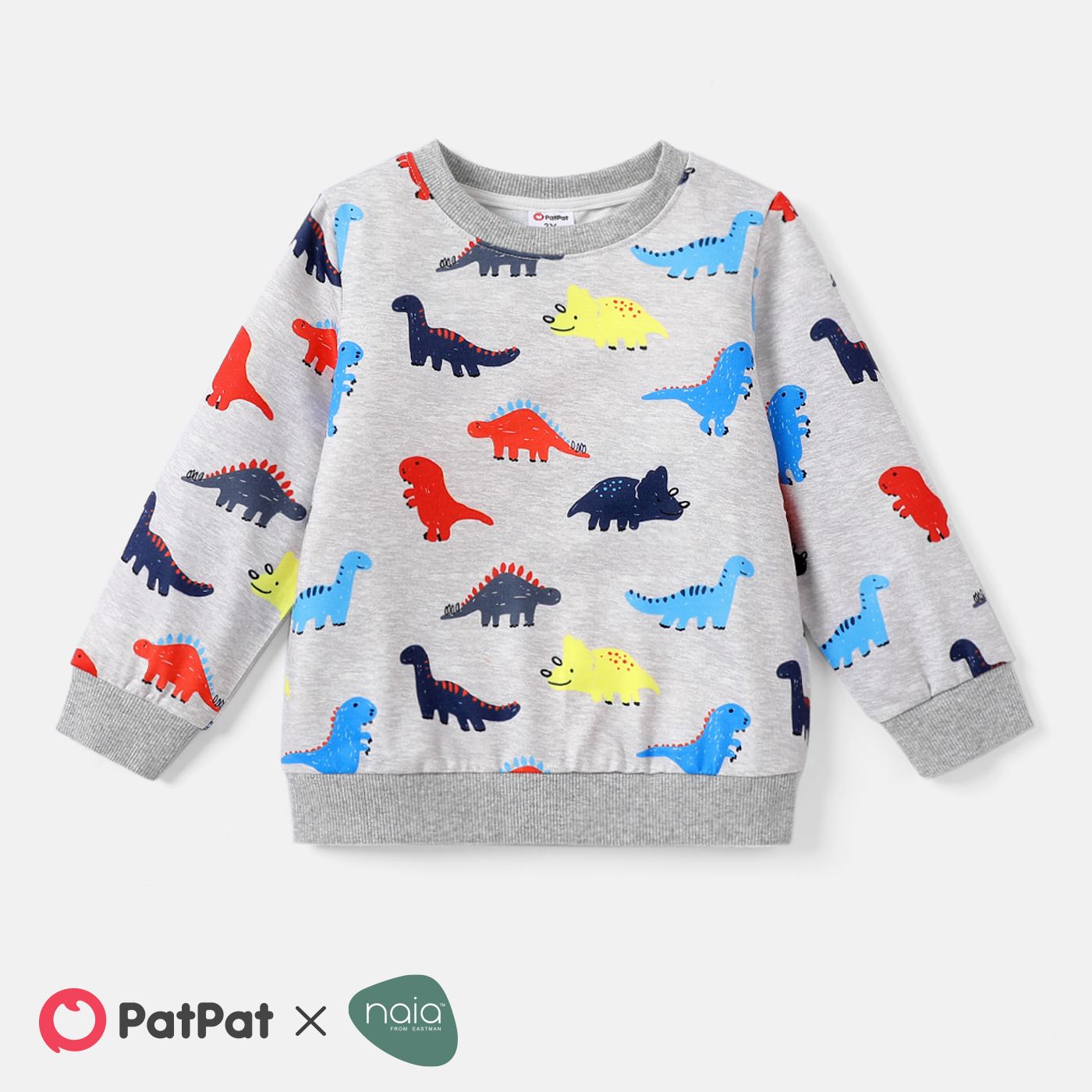 

Naia Toddler Boy Animal Dinosaur Print Pullover Sweatshirt