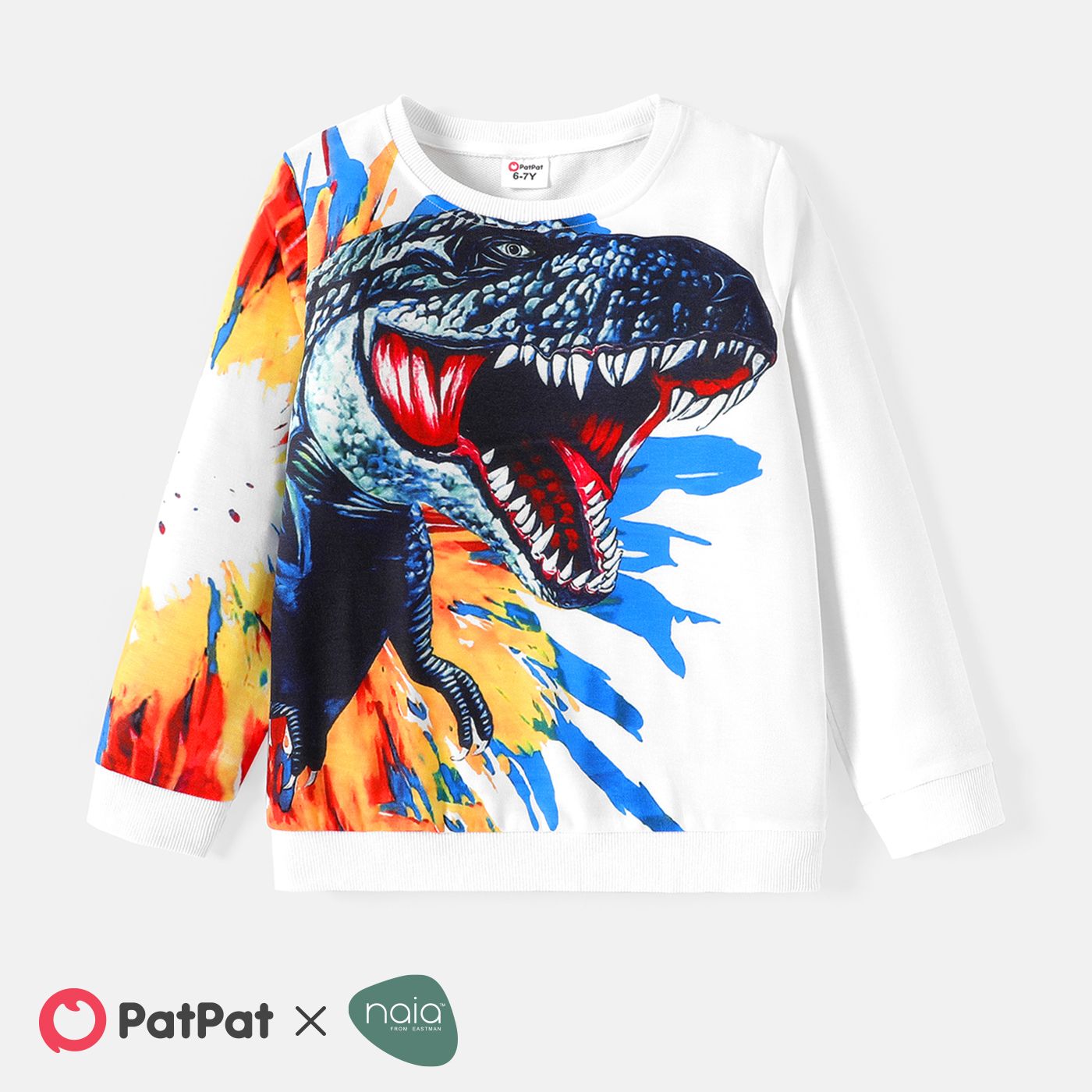 

Kid Boy Animal Dinosaur Print Pullover Sweatshirt