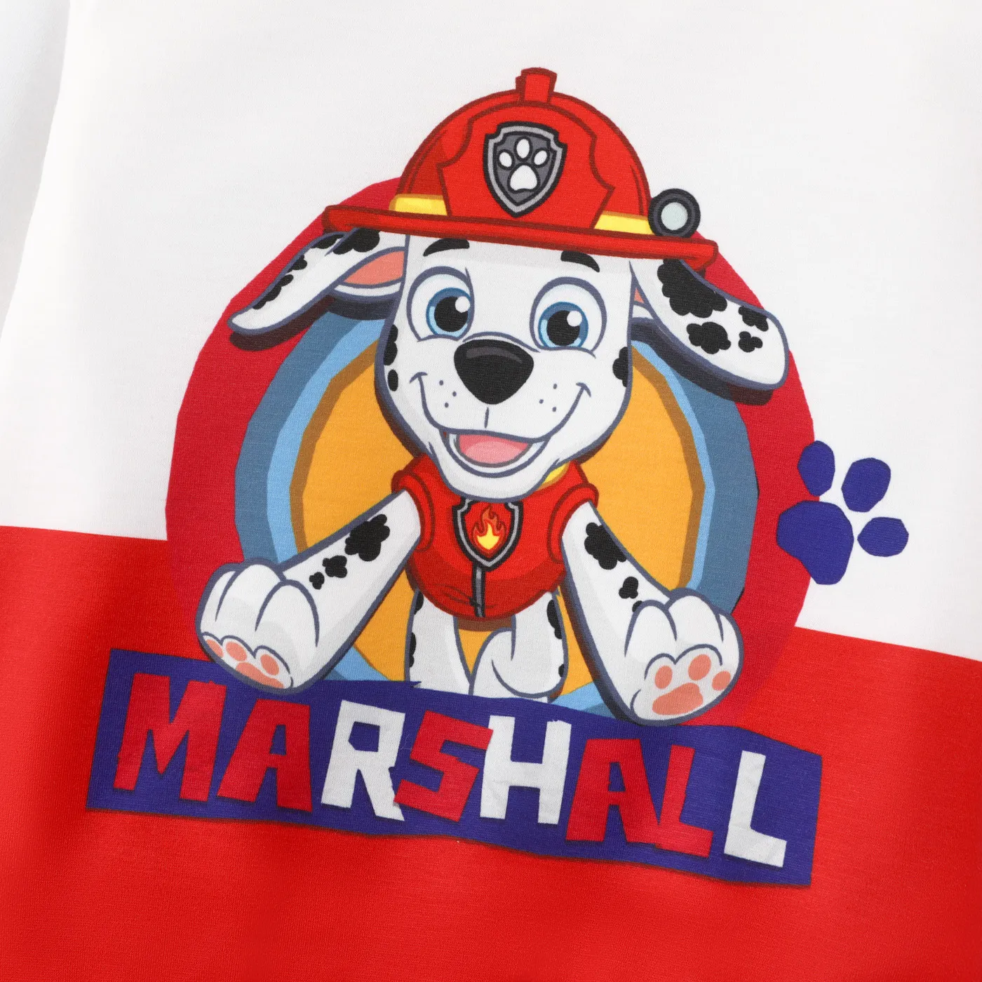 PAW Patrol Toddler Girl/Boy Colorblock Character Print Long-sleeve Tee  image 2