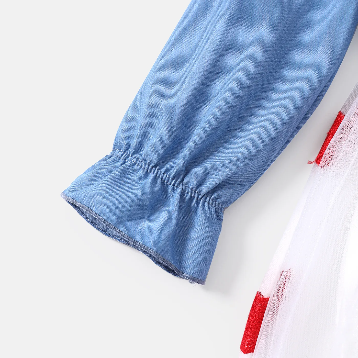Baby Girl Heart Embroidered Peter Pan Collar Long-sleeve Spliced Mesh Dress Blue image 5