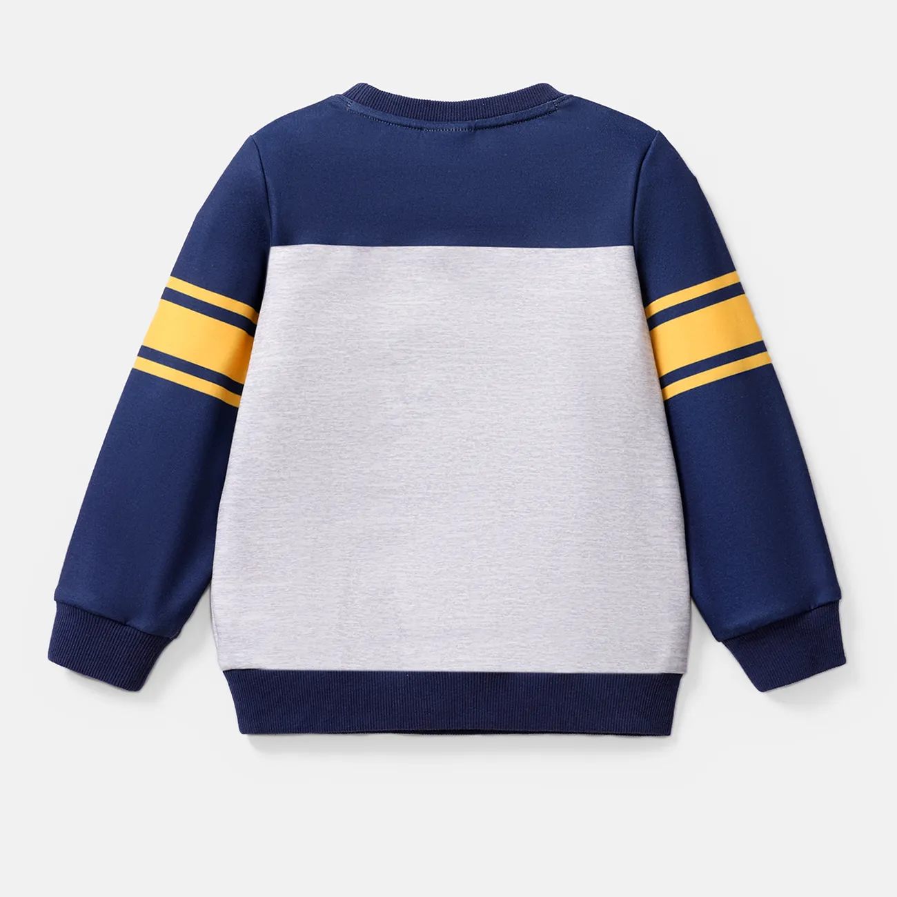 PAW Patrol Toddler Girl/Boy Naia™ Character Print Pullover Sweatshirt  royalblue big image 1