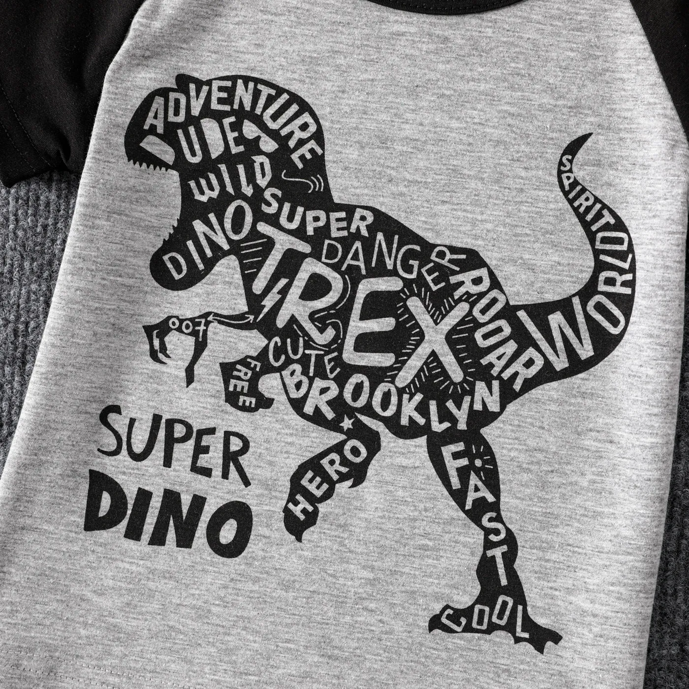 2pcs Toddler Boy Dinosaur Print Colorblock Short-sleeve Tee and Shorts Set Grey image 5