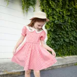 Kid Girl Strawberry Embroidered Doll Collar Short-sleeve Plaid Dress  image 3
