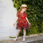 Toddler Girl Allover Rose Print Bow Decor Short-sleeve Dress  image 4