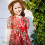 Toddler Girl Allover Rose Print Bow Decor Short-sleeve Dress  image 3