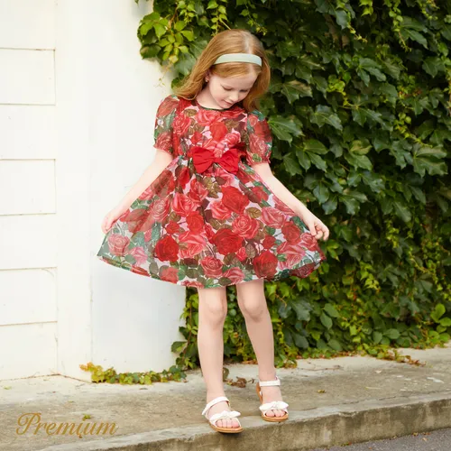 Toddler Girl Allover Rose Print Bow Decor Short-sleeve Dress