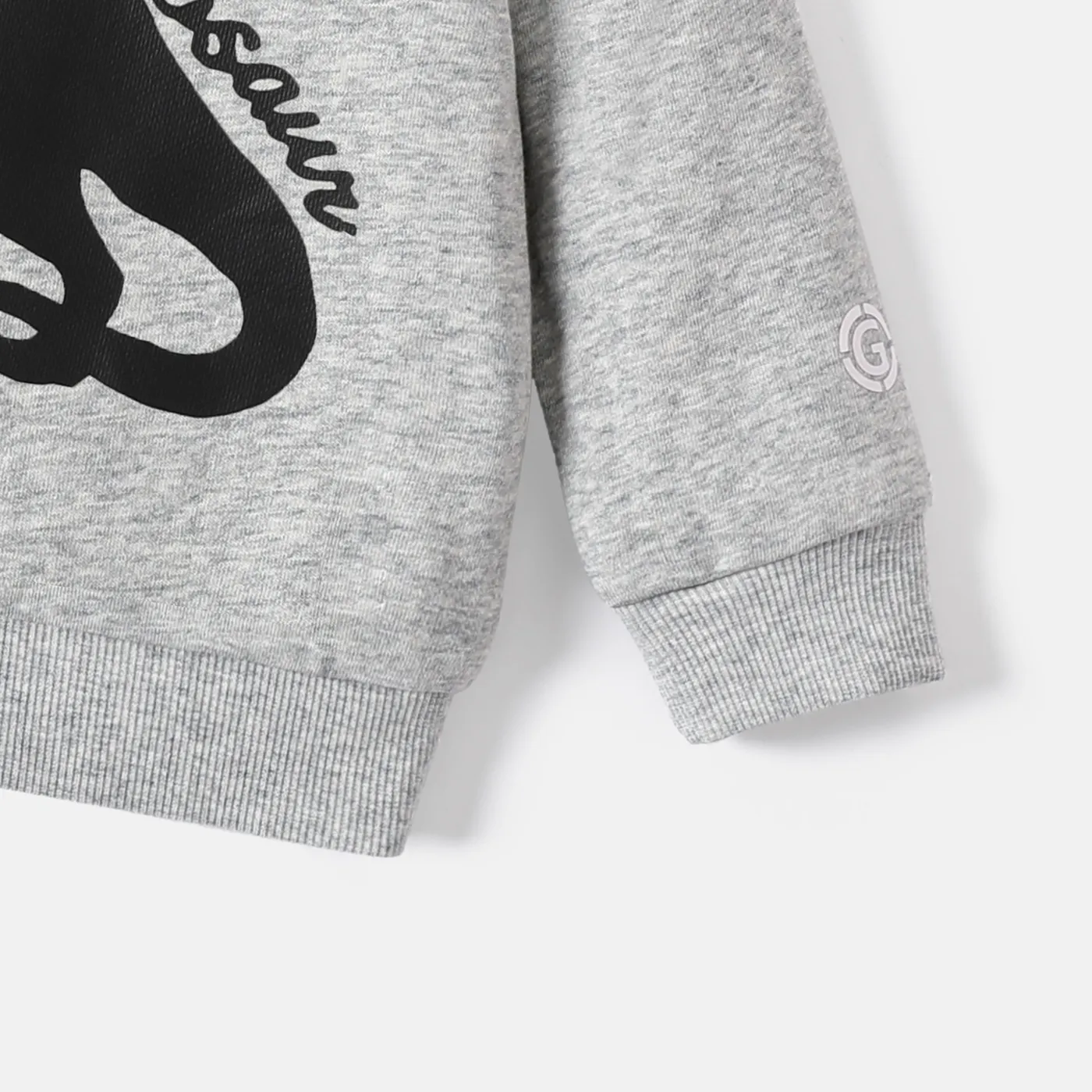 Bebé Menino Dinossauro Casual Manga comprida Sweatshirt Cinzento image 4