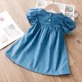 Baby / Toddler Cutie Embroidered Floral Dress  image 2