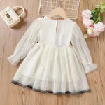 Toddler Girl Faux Layered Lace and Mesh Design Fairy Dress  image 2
