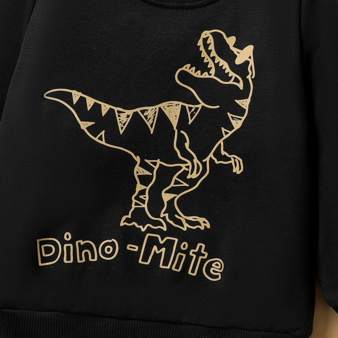  2pcs Toddler Boy Avant-garde Animal Pattern Dinosaur Set   image 2