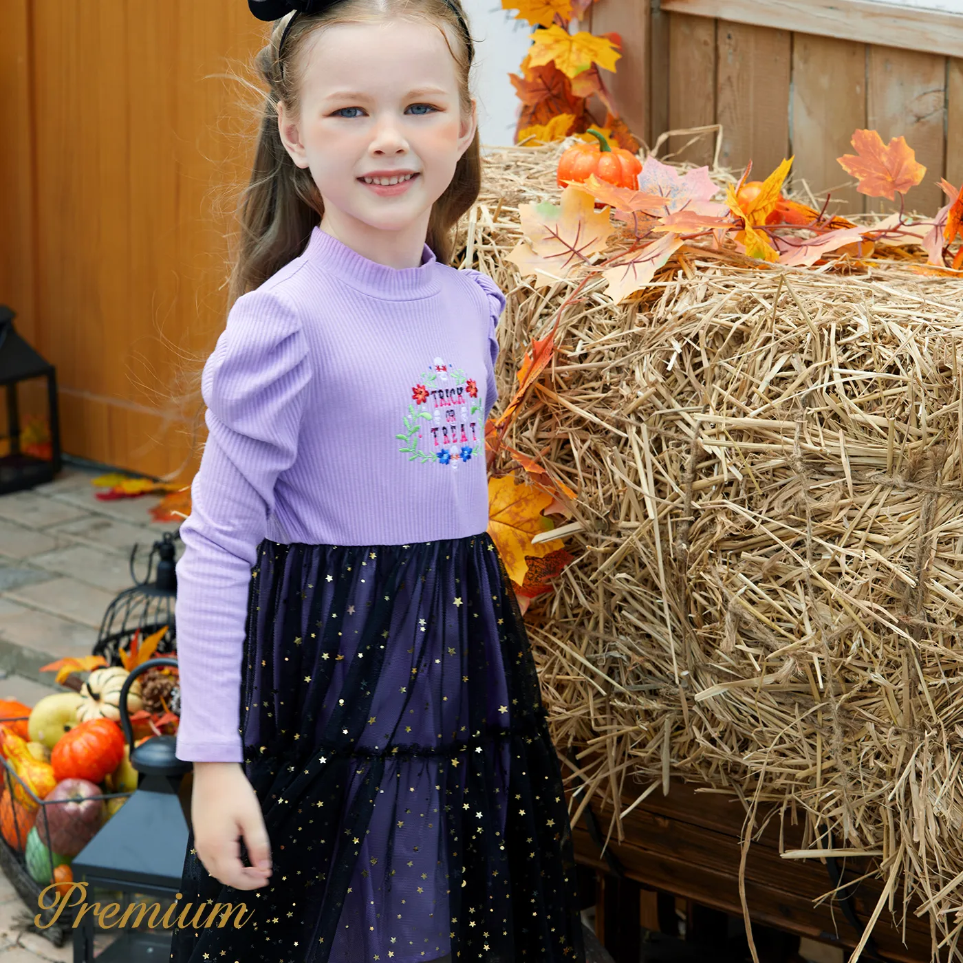 Toddler Girl Halloween Multi-Layered Long Sleeve Dress Set  image 4