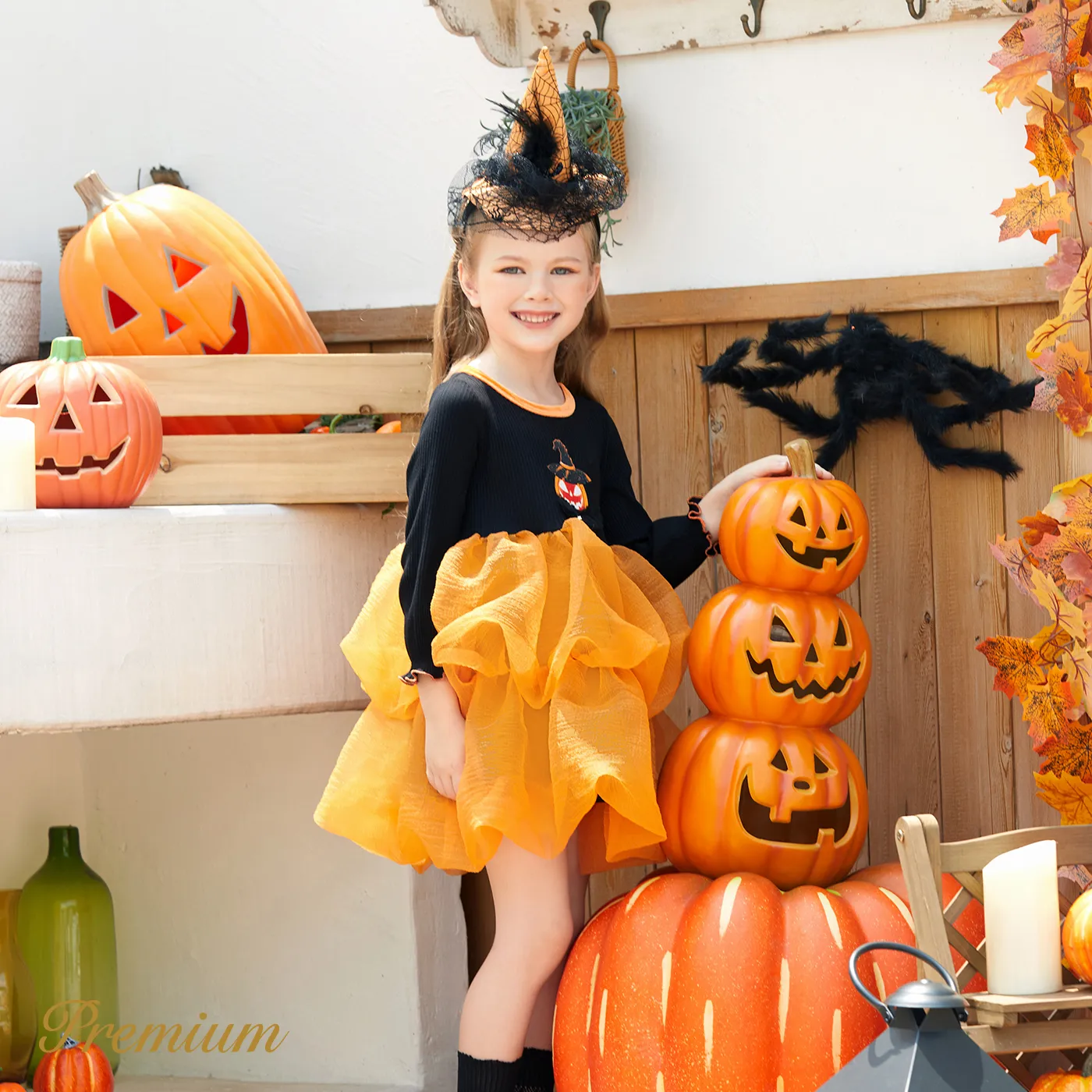 Toddler Girl Halloween Elegant Dress Black image 5