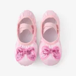 Toddler & Kid Butterfly/Crown Embroidery Ballet Dance Shoes Pink