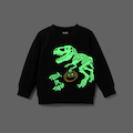 Halloween Toddler Boy Glow-in-the-dark Dinosaur Sweatshirt  image 1