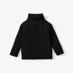 Toddler Girl/Boy Solid Cable Knit Turtleneck Sweater Black