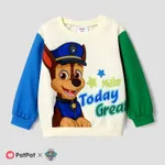 PAW Patrol Toddler Boy/Girl Character Print Colorblock Cotton Pullover Sweatshirt BlueGreen