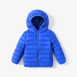 Kid Boy/Kid Girl Lightweight Zipper Solid Hooded Coat Blue