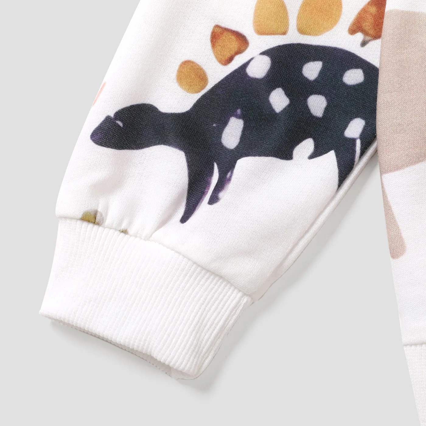 Toddler Boy Animal Dinosaur Print Pullover Sweatshirt White image 4