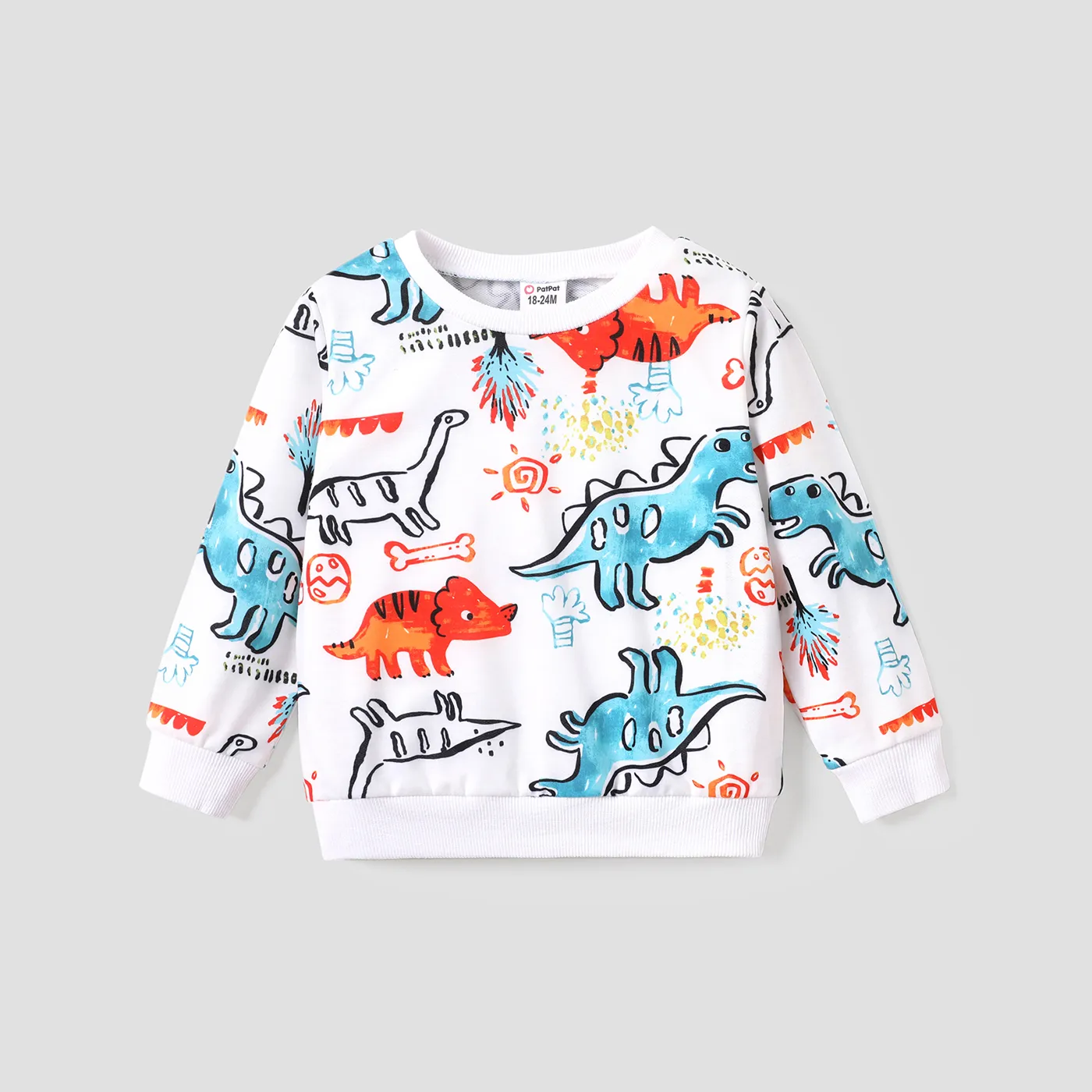 Toddler Boy Colorful Animal Dinosaur Print Pullover Sweatshirt