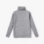 Kid Girl Solid Color Ribbed Turtleneck Sweater Grey