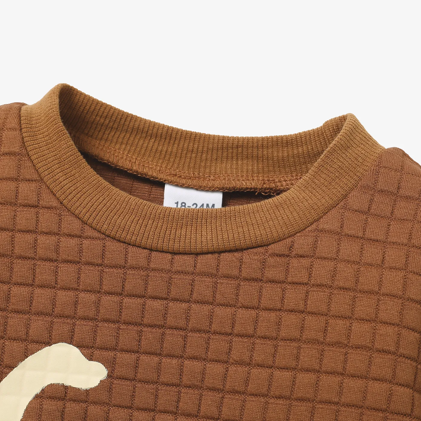 Toddler Boy Letter Dinosaur Print Textured Pullover Sweatshirt  image 3
