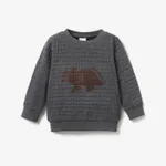 Toddler Boy Letter Dinosaur Print Textured Pullover Sweatshirt Grey