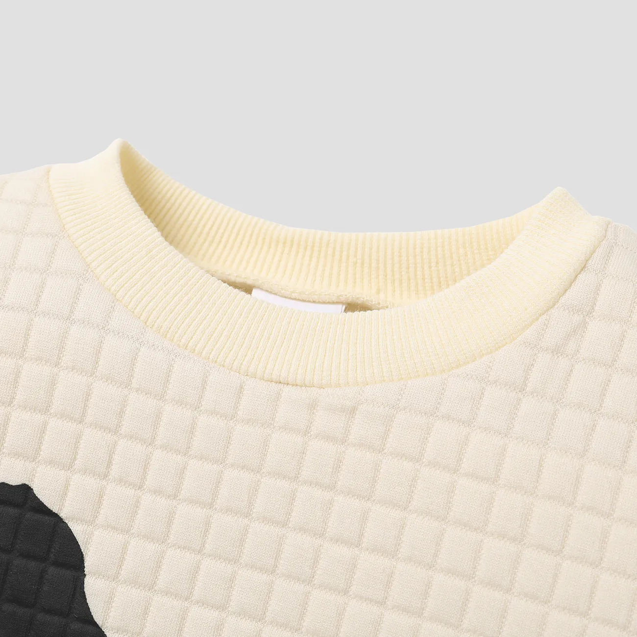 Toddler Boy Letter Dinosaur Print Textured Pullover Sweatshirt White big image 1