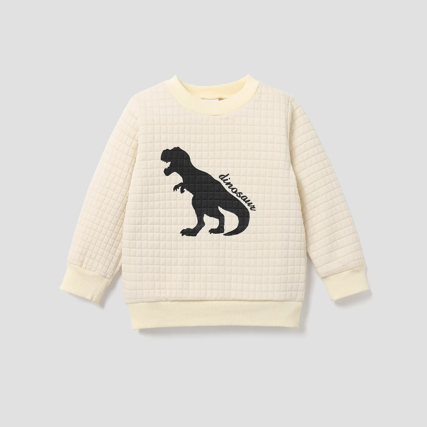 Toddler Boy Letter Dinosaur Print Textured Pullover Sweatshirt White big image 1
