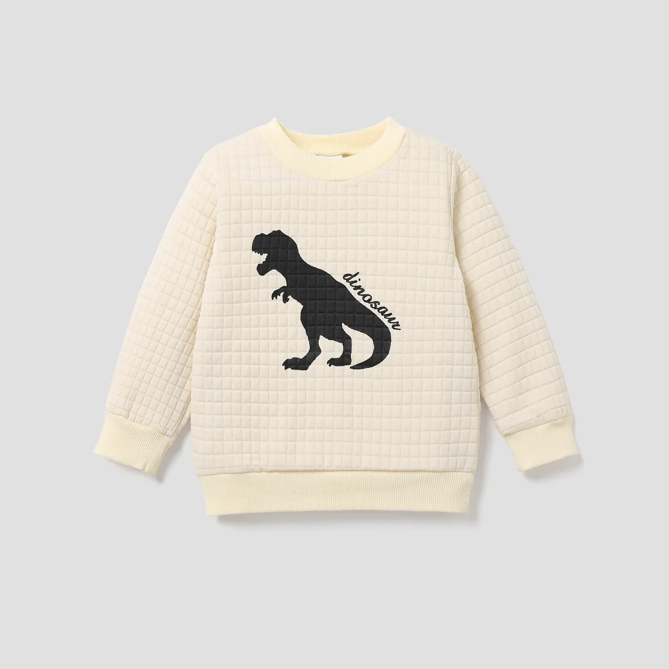 Toddler Boy Letter Dinosaur Print Textured Pullover Sweatshirt  big image 1
