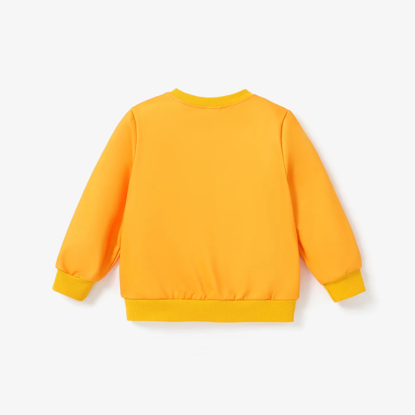 Toddler Boy Animal Lion Pattern Pullover Sweatshirt  Yellow image 4