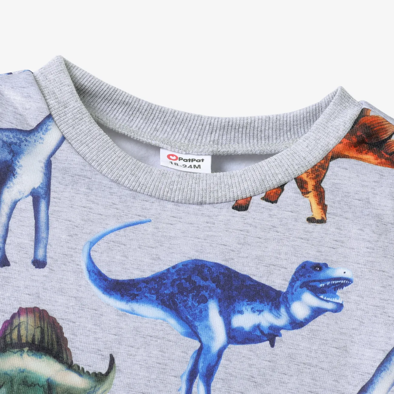 2 Stück Kleinkinder Jungen Stoffnähte Kindlich Dinosaurier Sweatshirt-Sets hellgrau big image 1