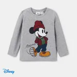 Disney Mickey and Friends Toddler Boy Cotton Character Pattern 1 Pop-up Ears Jacket or 1 Long-sleeve Top or Pants Grey