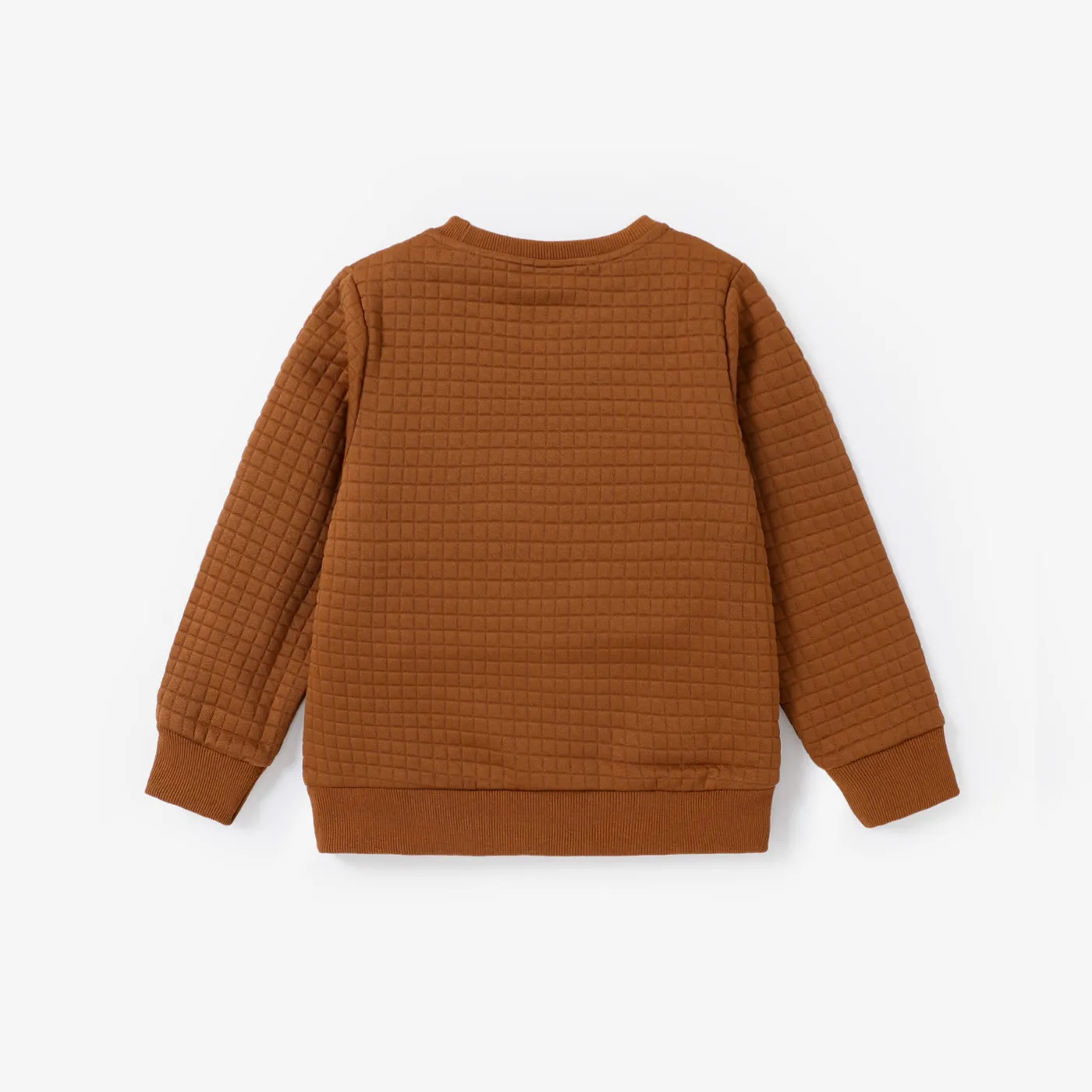 Kid Boy Childlike Dinosaur Letter Pattern Sweatshirt  image 2