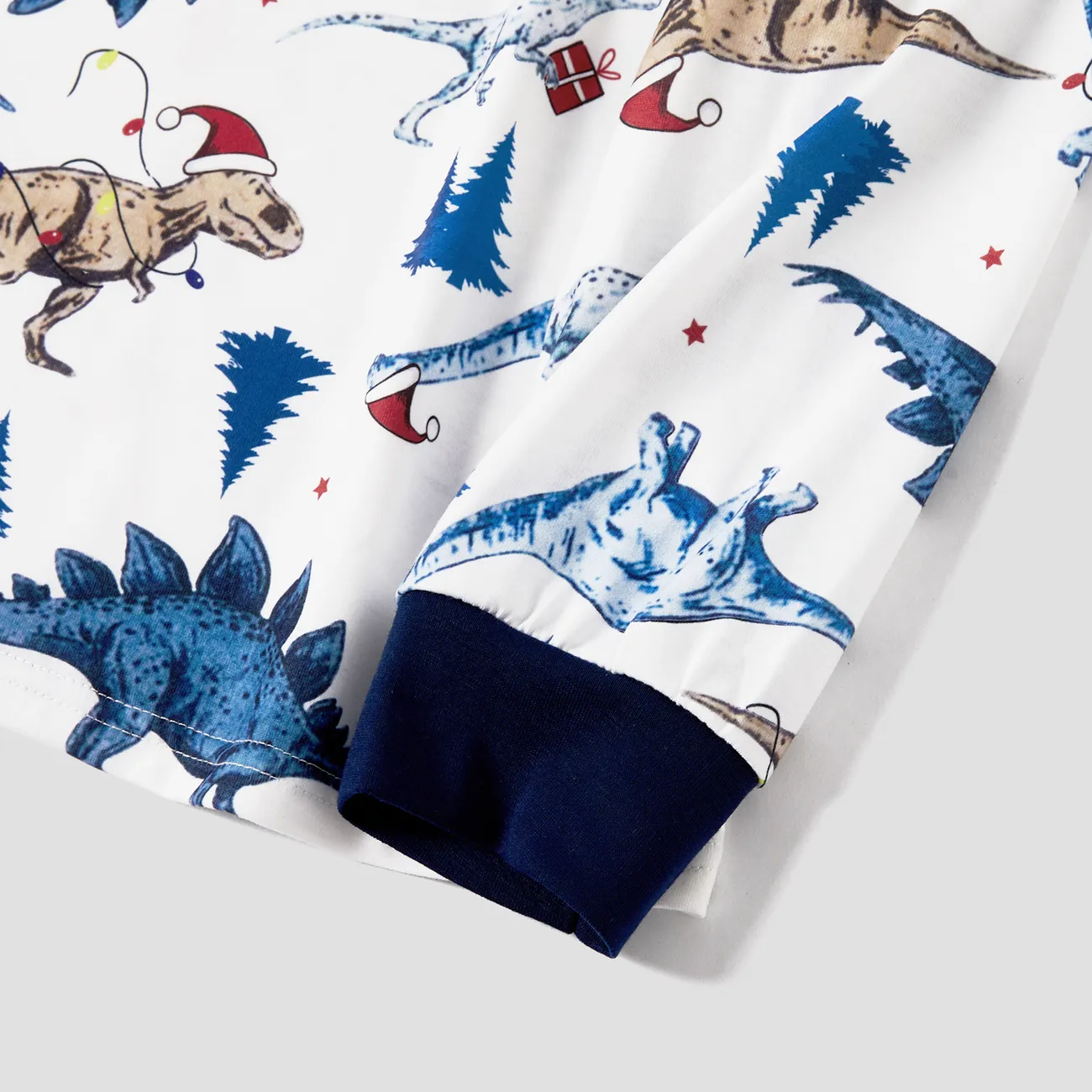 Noël Look Familial Dinosaure Manches longues Tenues de famille assorties Pyjamas (Flame Resistant) Bleu big image 1