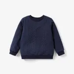 Kid Boy Casual Cable Knit Textured Sweatshirt Dark Blue