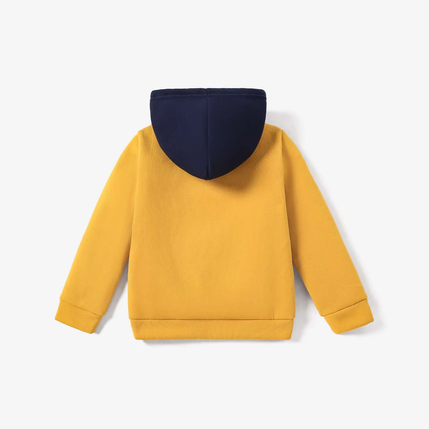 Kid Boy Letter Print Colorblock Fleece Lined Hoodie Sweatshirt  image 5