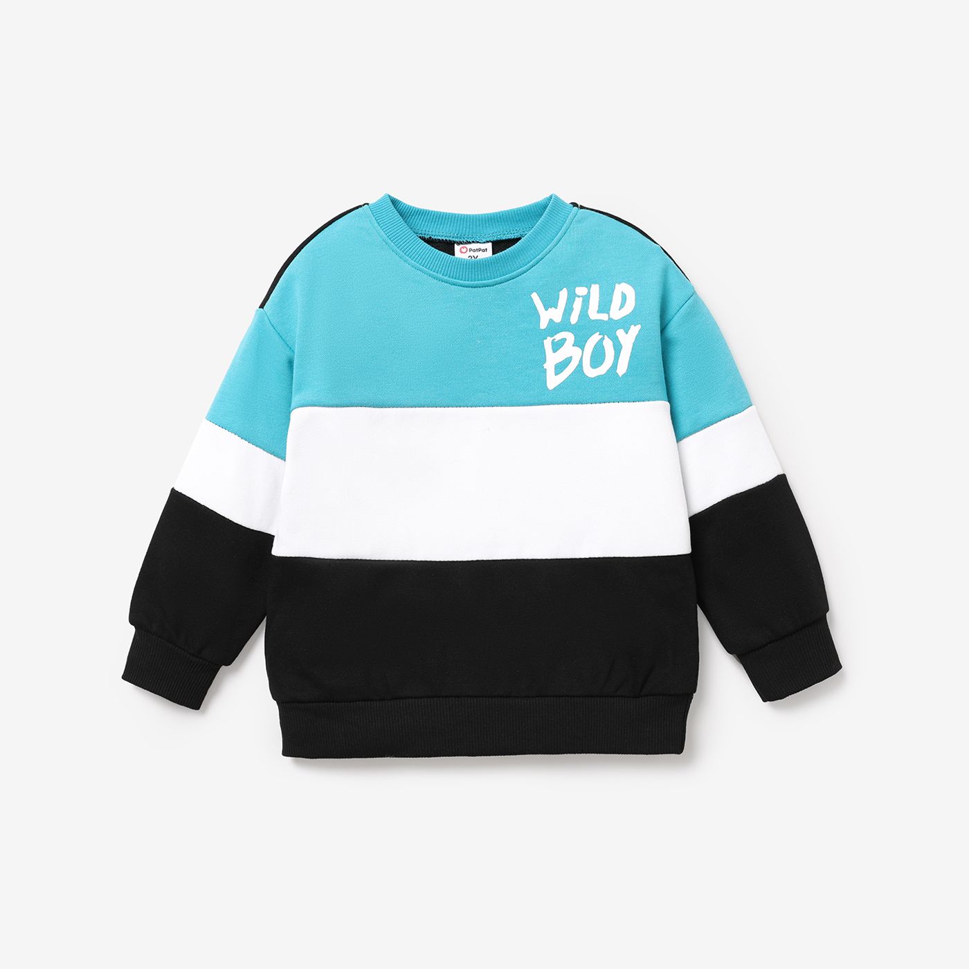 

Toddler Boy Letter Print Color Block Sweatshirt