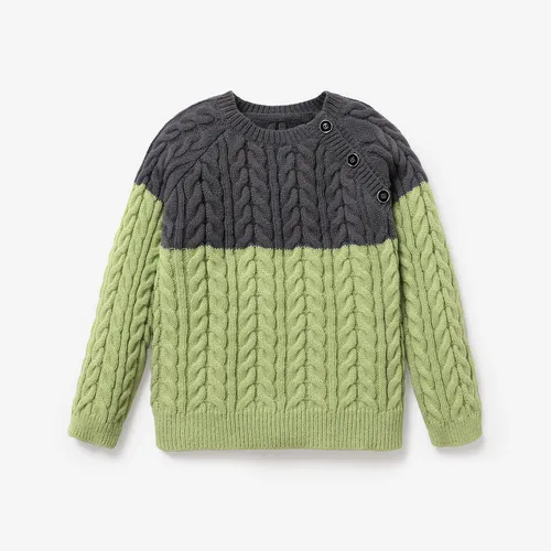 Kid Boy Trendy Colorblock Button Design Sweater