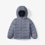 Kid Boy/Kid Girl Lightweight Zipper Solid Hooded Coat Grey