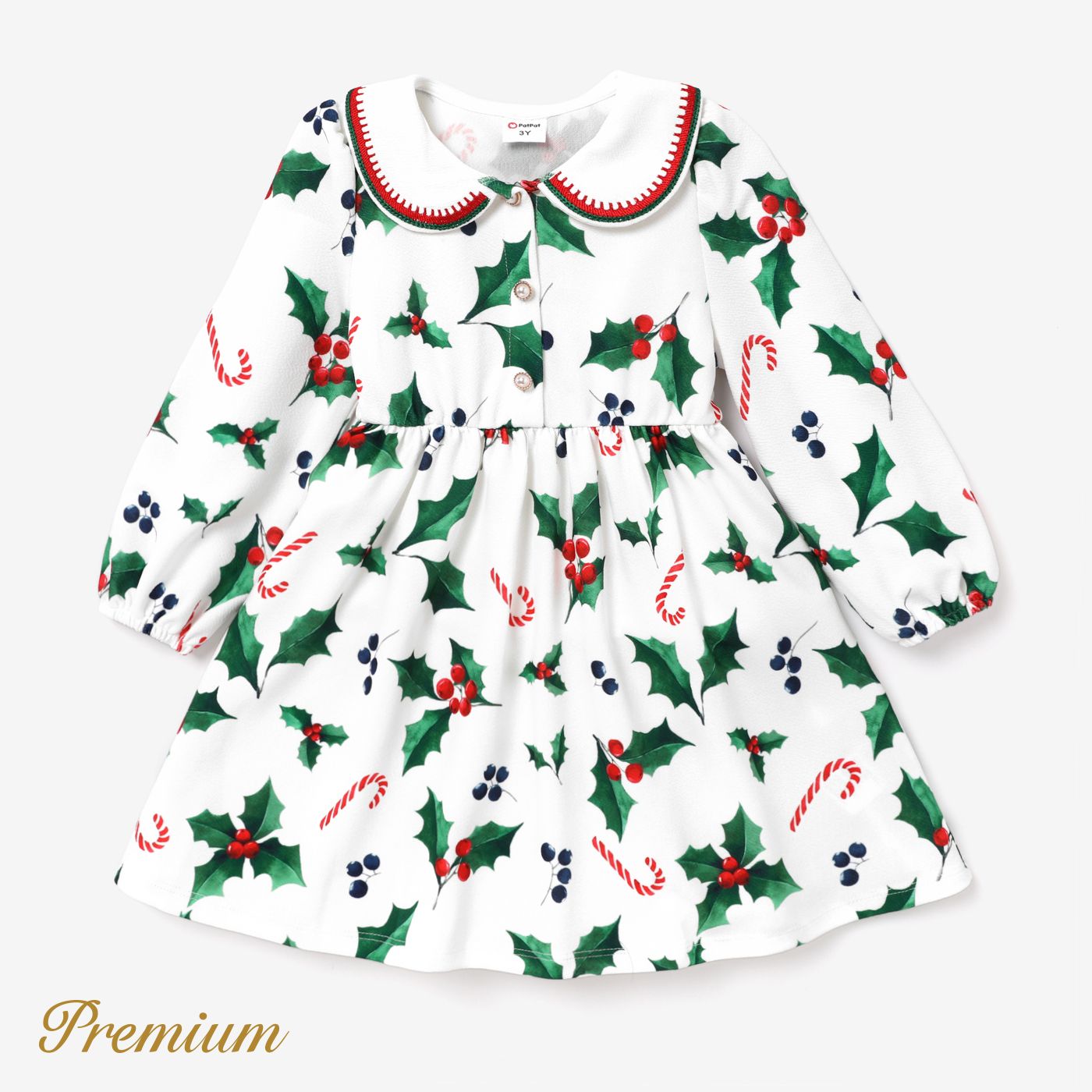 Toddler Girl Christmas Elegant Dress Set