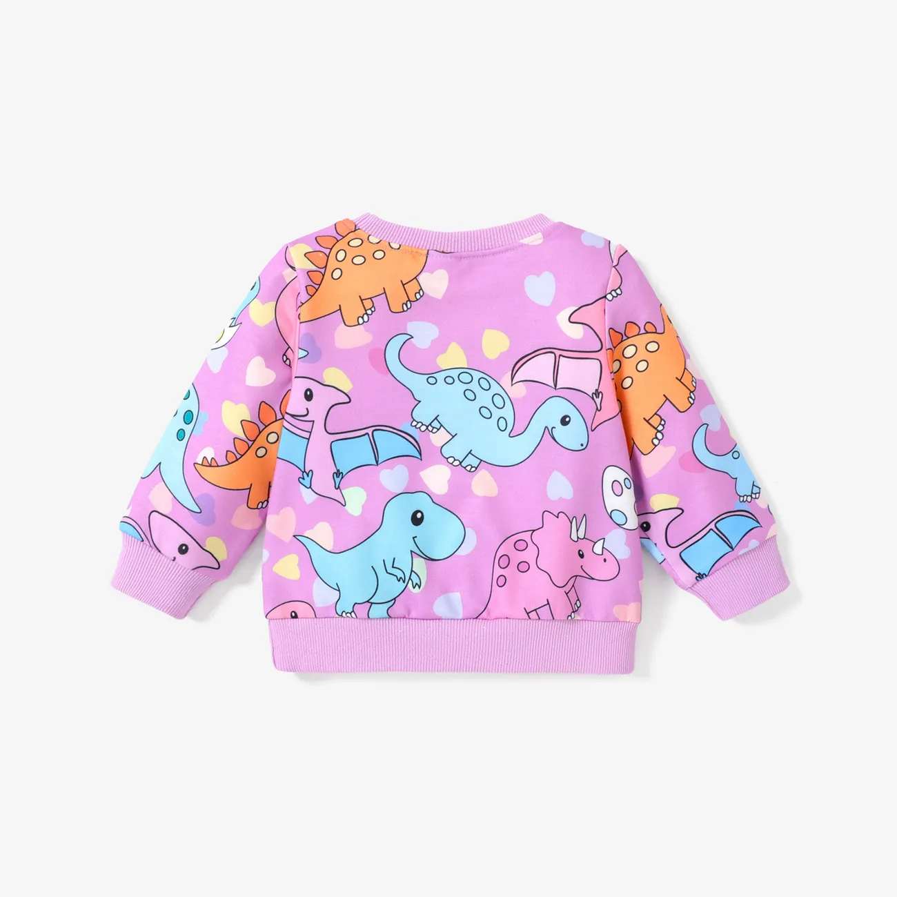Baby Girl Childlike Dinosaur Sweatshirt Multi-color big image 1
