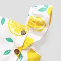 Toddler Girl Button Design Lemon Print/Plaid Flutter-sleeve Dress  image 4