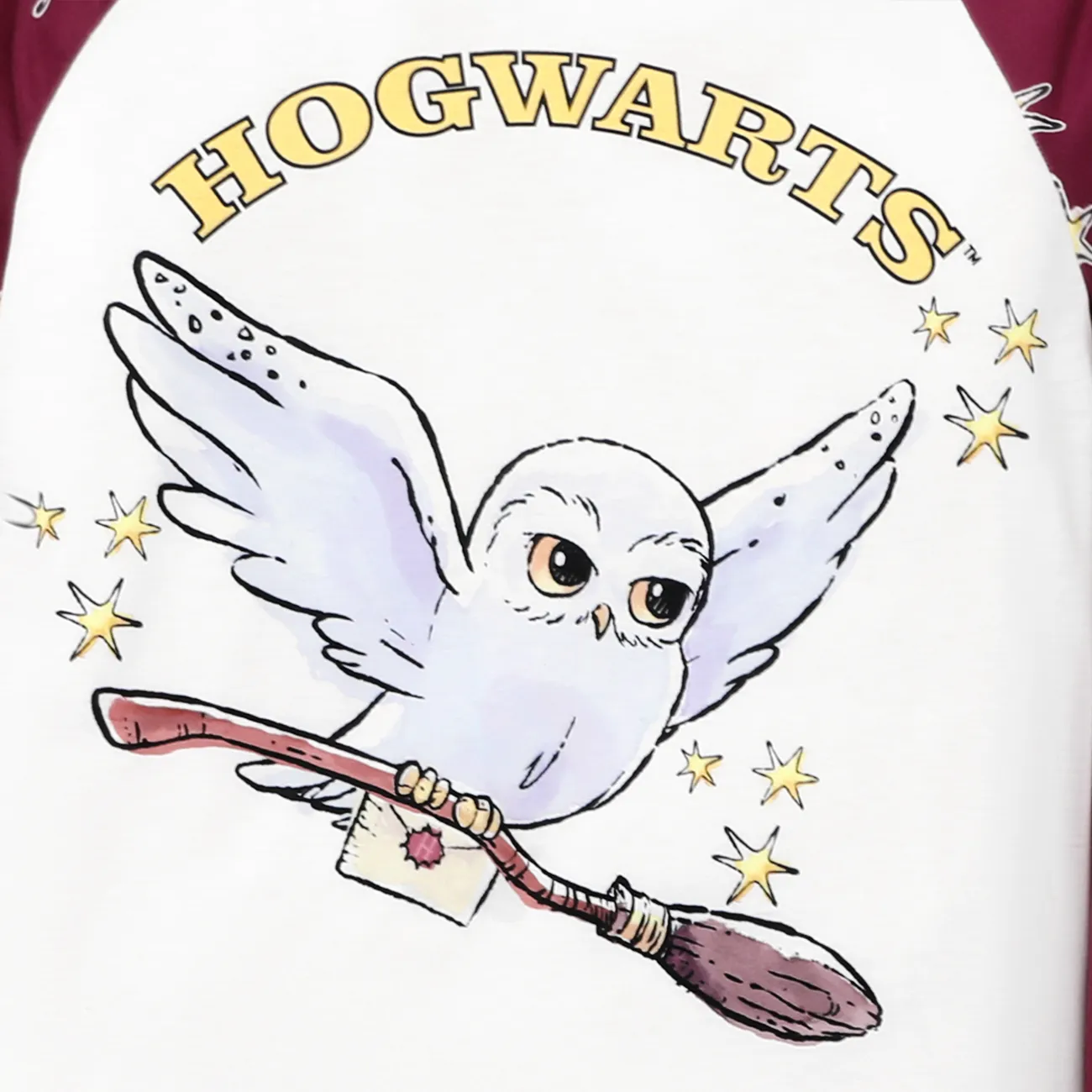 Harry Potter Looks familiares Manga larga Conjuntos combinados para familia Pijamas (Flame Resistant) Borgoña big image 1