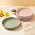 Non-BPA Silicone Striped Kids Plate for Mealtime  image 4