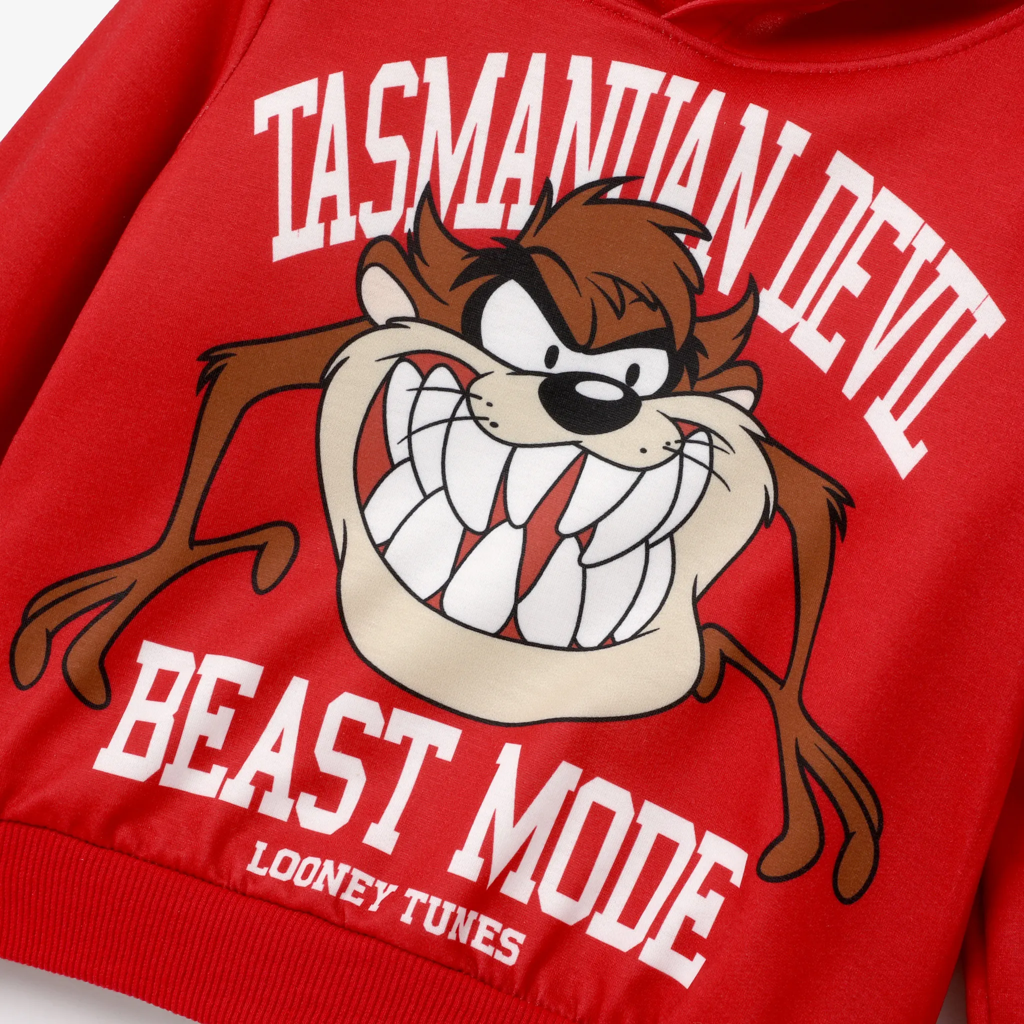 Looney Tunes Toddler Boy  Character Pattern Letter Slogan Hooded Top and Pants Sets  image 2