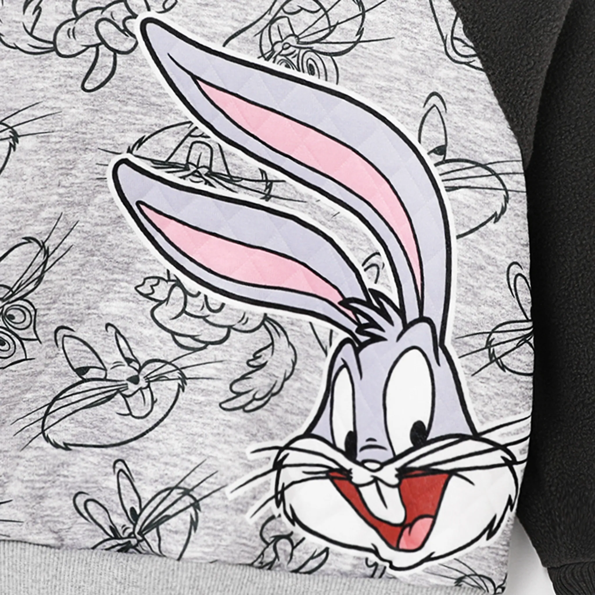 Looney Tunes Toddler Boy/Girl Character Print Polar Fleece Hoodies  Grey image 2