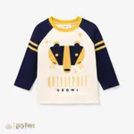 Harry Potter Toddler Girl/Boy Character Print Long-sleeve Pullover Sweatshirt Yellow