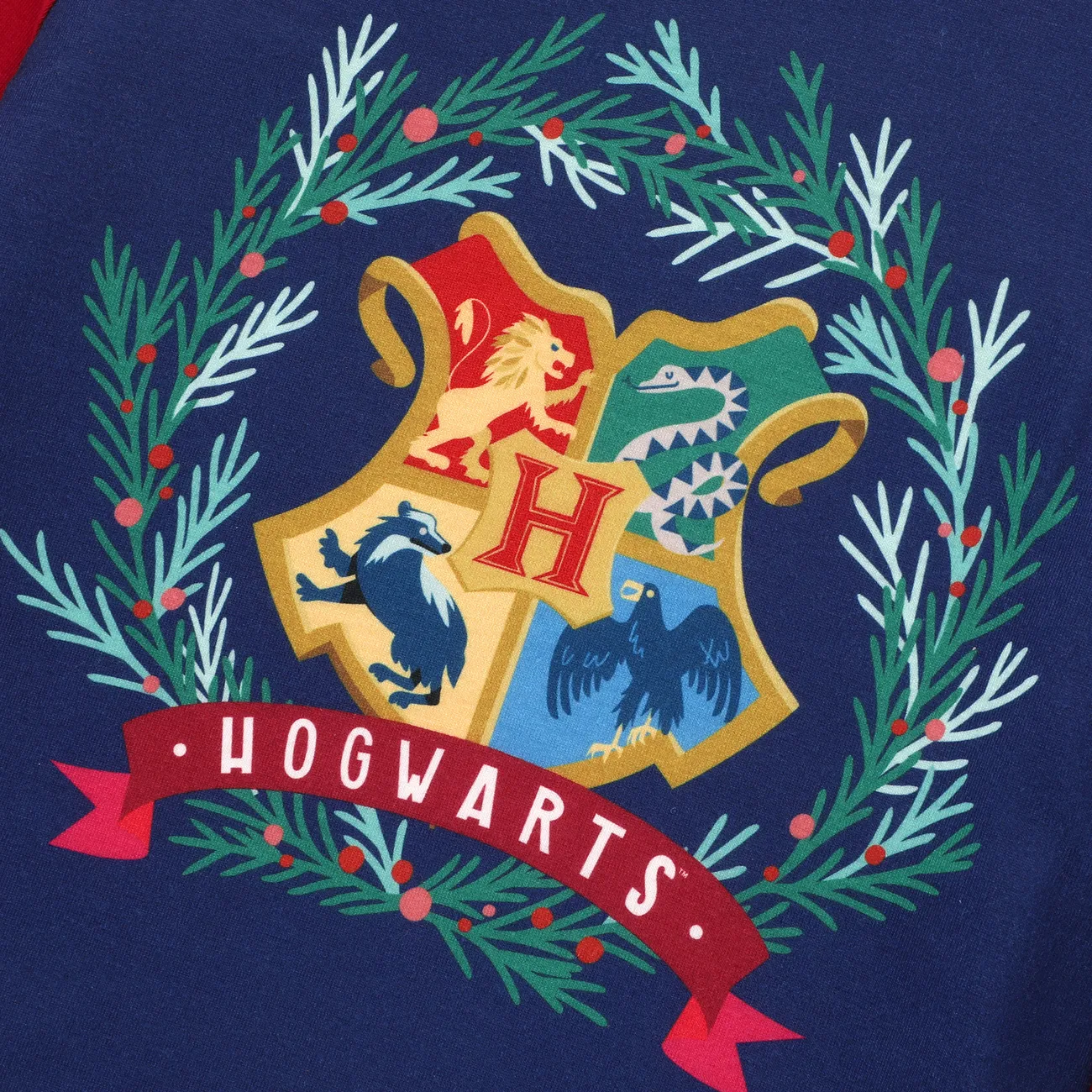 Harry Potter Weihnachten Familien-Looks Langärmelig Familien-Outfits Pyjamas (Flame Resistant) Mehrfarbig big image 1