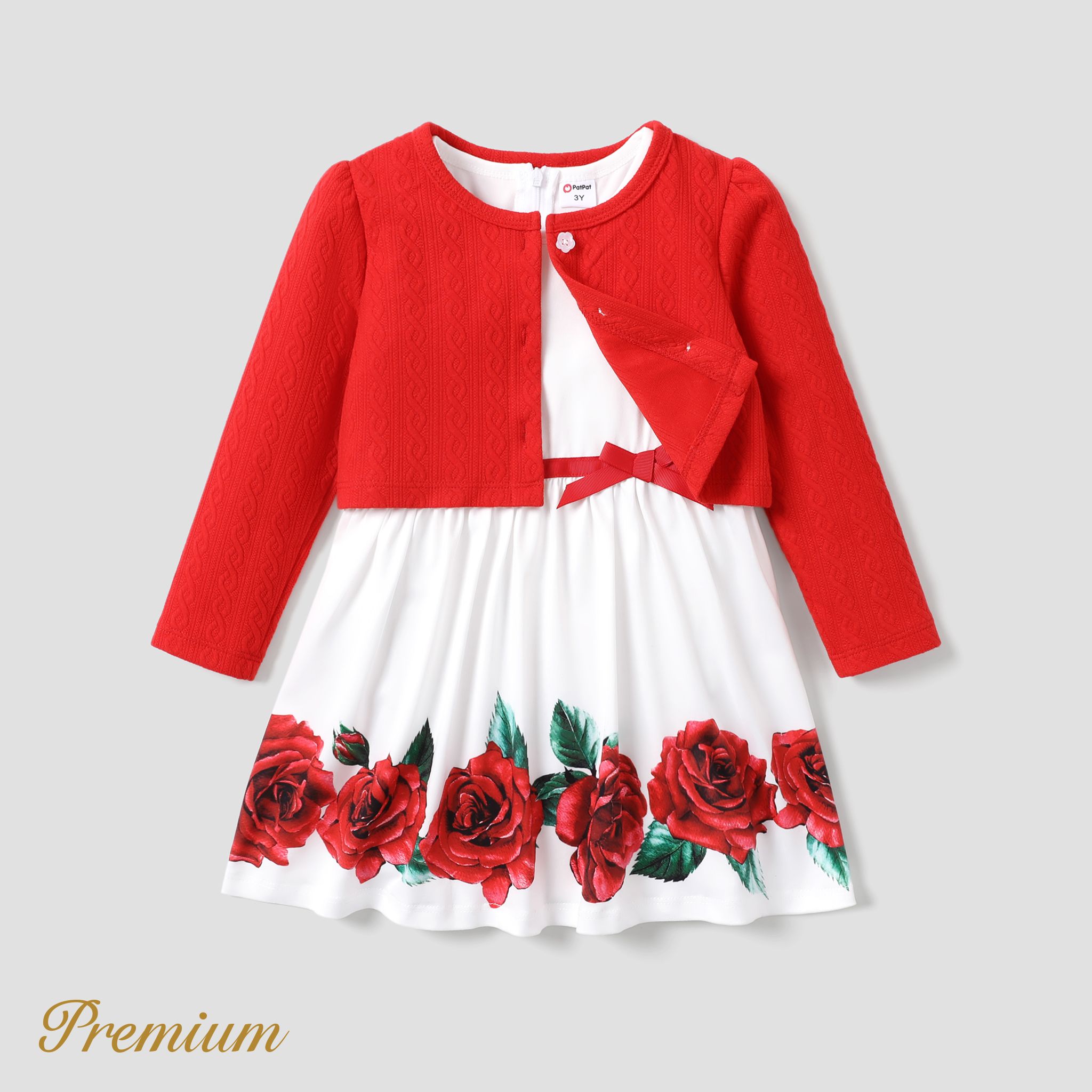 2pcs Toddler Girl Saint Valentin Rose Plantes Et Motif Floral Robe Élégante Ensemble