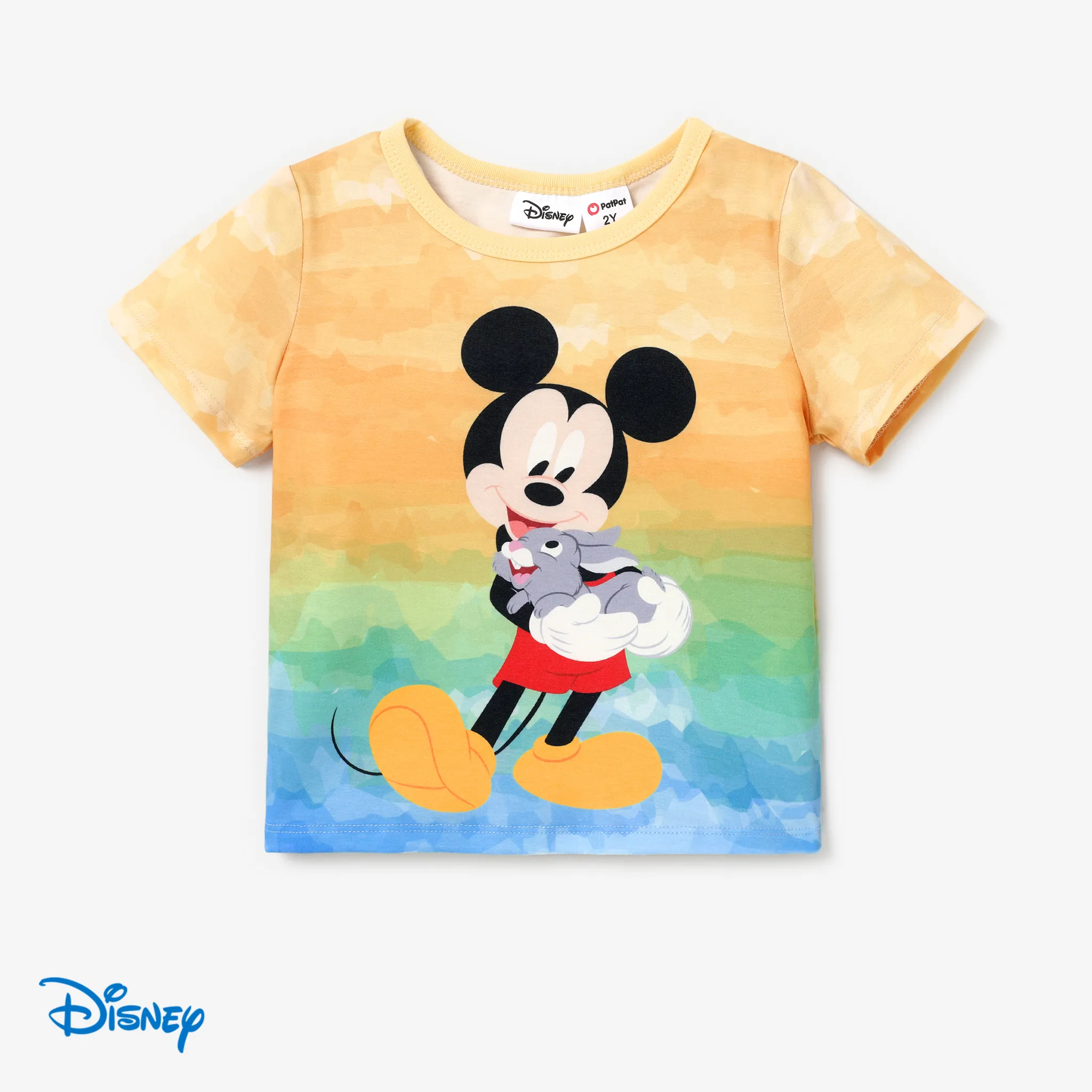 Disney Mickey and Friends 1pc Toddler/Kid Girl/Boy Character Tyedyed/Stripe/Colorful Print Naia™ Short-sleeve Tee Color block
